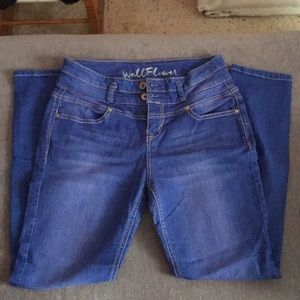 Size 9 Wallflower Jeans